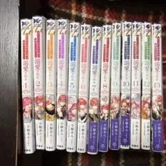 全て初版帯付き未開封新品 氷の城壁 13、14巻セット - メルカリ