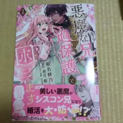 悪魔な兄が過保護で困ってます1