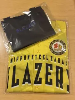 堺ブレイザーズ バレーボール