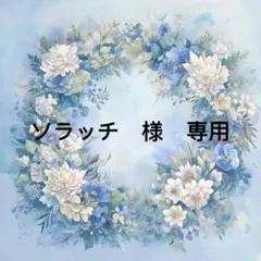 ソラッチ様　専用