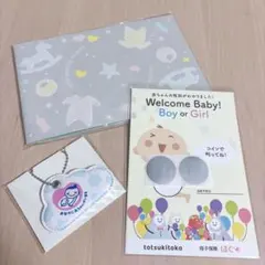 エコーアルバム　マタニティマーク　ジェンダーリビールカード