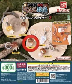 ももんが様 リクエスト 2点 まとめ商品