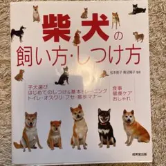 Item thumbnail for item 1cf85934-0234-457d-bdcc-f734d884f9fe