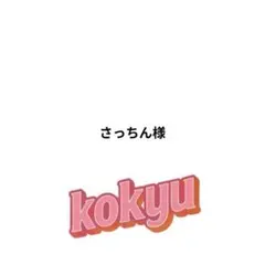 さっちん様 リクエスト 3点 まとめ商品