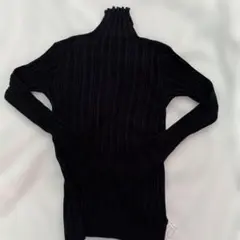 アンティカ　ハイネックニット　　H-602