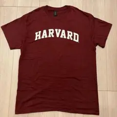 GILDAN HARVARD Tシャツ バーガンディ Mサイズのサムネイル