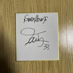 東京ヤクルトスワローズ 山崎太陽投手 直筆ミニサイン色紙 ドラフト3位 創価大学