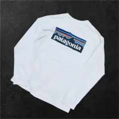 パタゴニア L/S P-6ロゴ レスポンシビリティー M ロンT ホワイト
