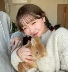 ollun チェックデザインニットプルオーバー