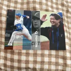 hina様 リクエスト 2点 まとめ商品