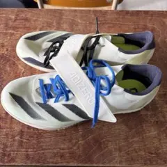 Item thumbnail for item 3c73bc1c-cdc6-449f-80e8-b4d8f769a91c