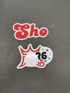 デコうちわ　嵐