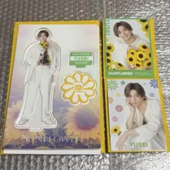 2026年最新】八木勇征 expo シクレの人気アイテム - メルカリ