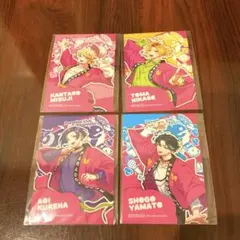 パラライ ドプボ ハーフブロマイド VISTY