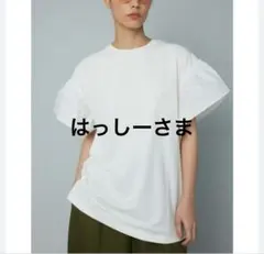 美品　HeRIN.CYE ヘリンドットサイ　フリル袖　Tシャツのサムネイル