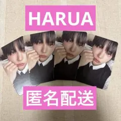 &TEAM BacktoLife HARUA ハルア トレカ