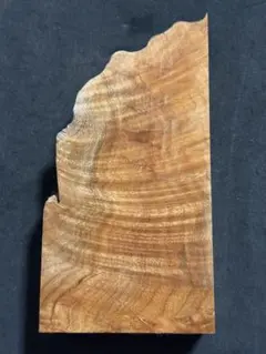 Item thumbnail for item 660cc4f7-ba02-4cbe-bfc1-5e14e1f744c9