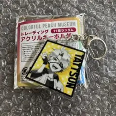 カラフルピーチ　展示会　トレーディングアクリルキーホルダー　たっつん