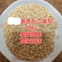 コスパ】まんぷく応援米 福岡県産米 20kg米 20キロ 白米 送料無料