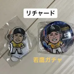 Item thumbnail for item 40ed0d69-cb5e-405f-9fc8-af36127b9bda