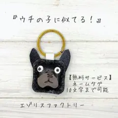 【KK264】#カクフレ#レザー#フレンチブルドッグ#ボストンテリア#犬
