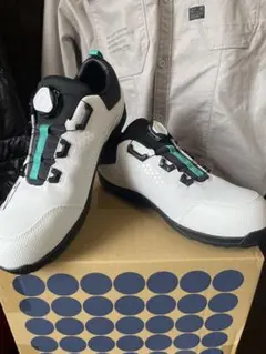 明日発送可⭐︎限定色⭐︎Mizuno BOA安全靴 25cm F1GA250532 - メルカリ