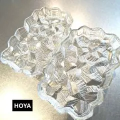 HOYA波形エッジ2枚セットのサムネイル