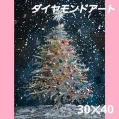 【A1634】ダイヤモンドアート　30×40㎝ラウンド