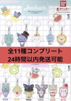 ✨JOCHUM めじるしアクセサリー 1と2 全11種コンプリート✨