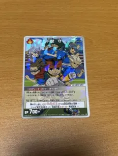 イナズマイレブン グッズ イナイレ TCG カード 豪炎寺 吹雪 風丸 鬼道