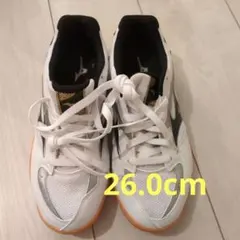 Mizuno 卓球シューズ 26.0cm クロスマッチプリオ