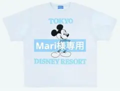 Mari様おまとめ 新品 東京ディズニーリゾート ペパーメントグリーン 水色