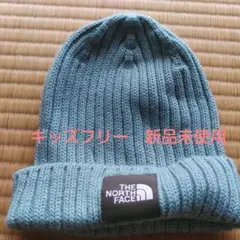 THE NORTH FACE キッズ ニット帽 ビーニー ブルー
