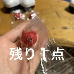 予約商品　(Chie様)