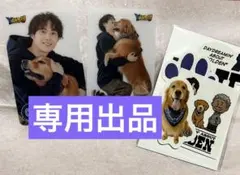 Y&U YANDU トレカ　ステッカーセット　アクスタDA PUMP