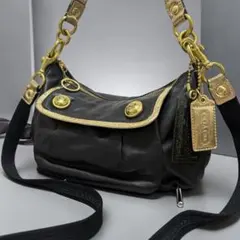 coach poppy shoulder bag leather y2k