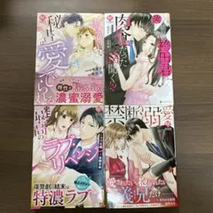 「禁断溺愛」等⭐️オススメ4冊セット‼️