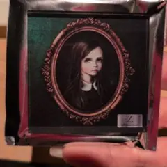 acid black cherry マグネット