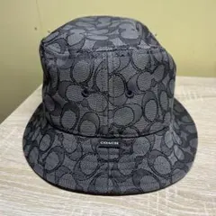 Item thumbnail for item 5986deb5-760e-4213-91c4-fc4039011190