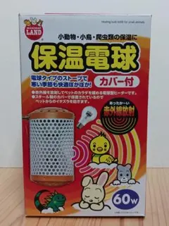 Item thumbnail for item 48124945-8a20-4f5d-93ad-18e4f33eb3c8