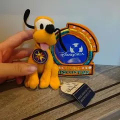 東京ディズニーシー プルート ぬいぐるみ　マグネット