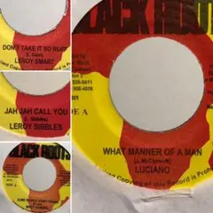青春REGGAE Tico & icchie 新品未開封　レコード 青春REGGAE LP Tico&Icchie商品一覧｜ディスクユニオン・オンライン