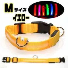 Item thumbnail for item ed9605be-96bf-4595-94b3-81d2ae155e74