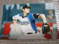 大谷翔平 2015 ハイライトフォト No.176 日本ハム 球団公式写真