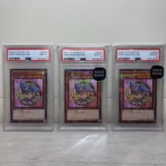 ね*こ様 遊戯王 3枚 PSA10 ブラック・マジシャン・ガール NP - メルカリ