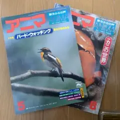 アニマ 1976年8月・1979年5月号 カニの世界・バードウォッチング特集
