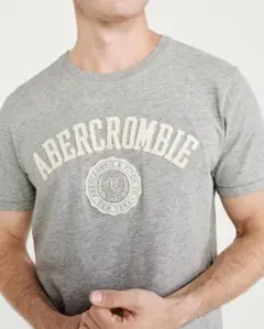 【正規品】アバクロ A&F アップリケロゴTシャツ グレー S