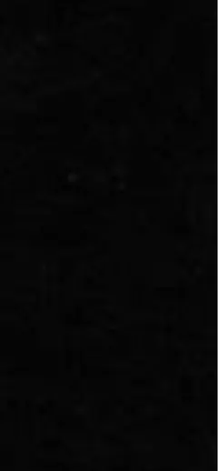 つーさん様確認用