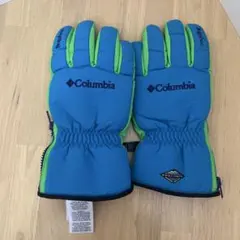 スキーグローブ