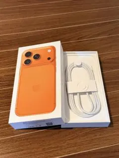 iPhone 17Pro 箱のみ